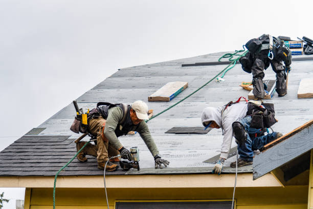 Professional Gutter Installation technician working in Grant, NE